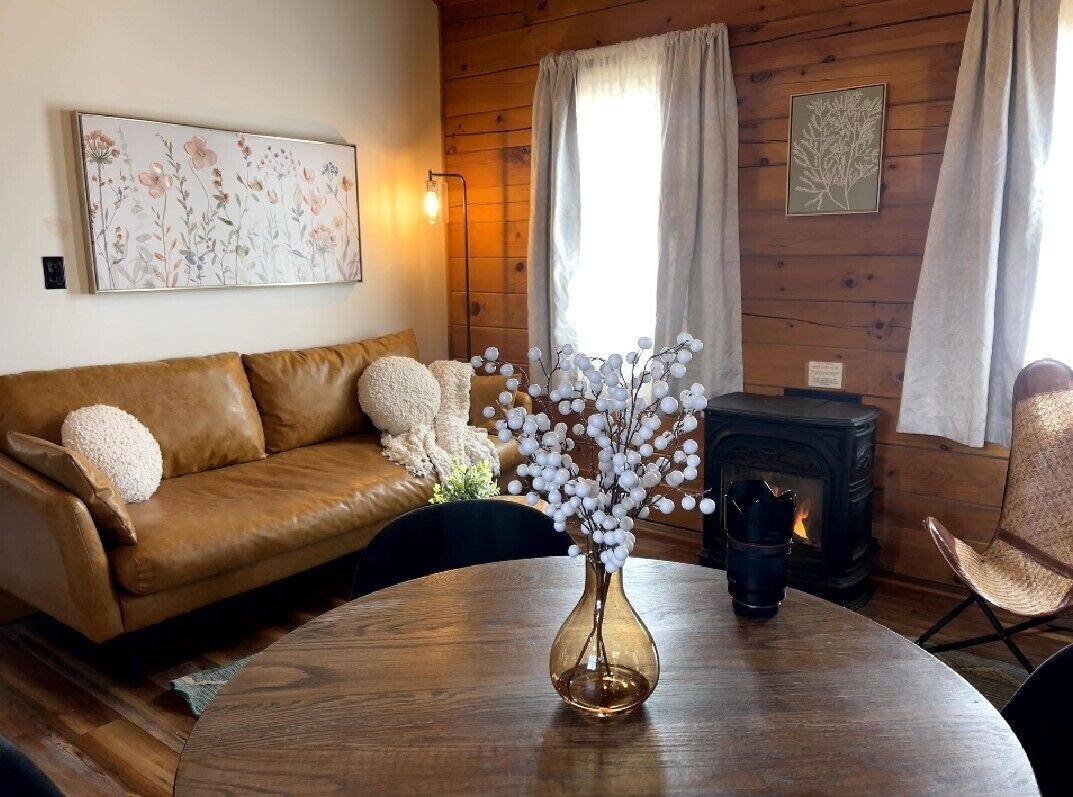 Tv, eldstad, Hulu och dvd-spelare