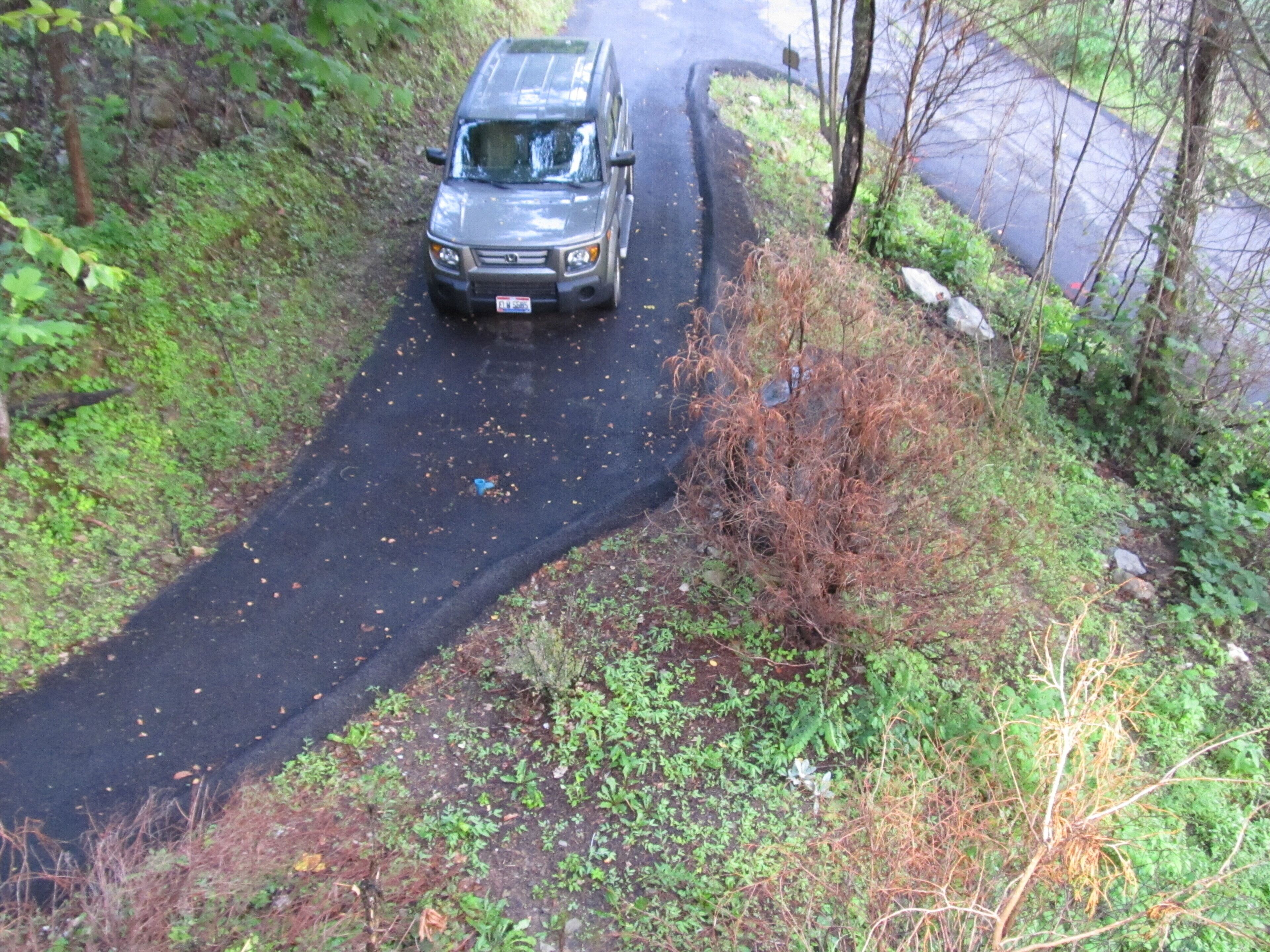 A vehicle on a narrow, winding road surrounded by dense vegetation.