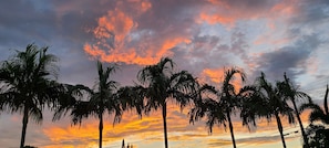 A sunset with palm trees silhouetted against a colorful sky.