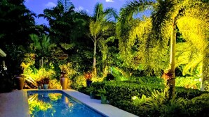 A swimming pool surrounded by lush greenery and palm trees, reflecting the sky and surrounding vegetation. - Pet Friendly Tropical Studio with Private Kitchen and Bath (Oakland Park)