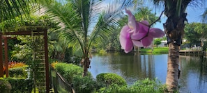 Property grounds - Pet Friendly Tropical Studio with Private Kitchen and Bath (Oakland Park)