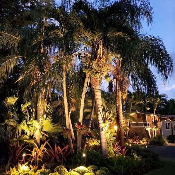 المنطقة المحيطة بالمنشأة