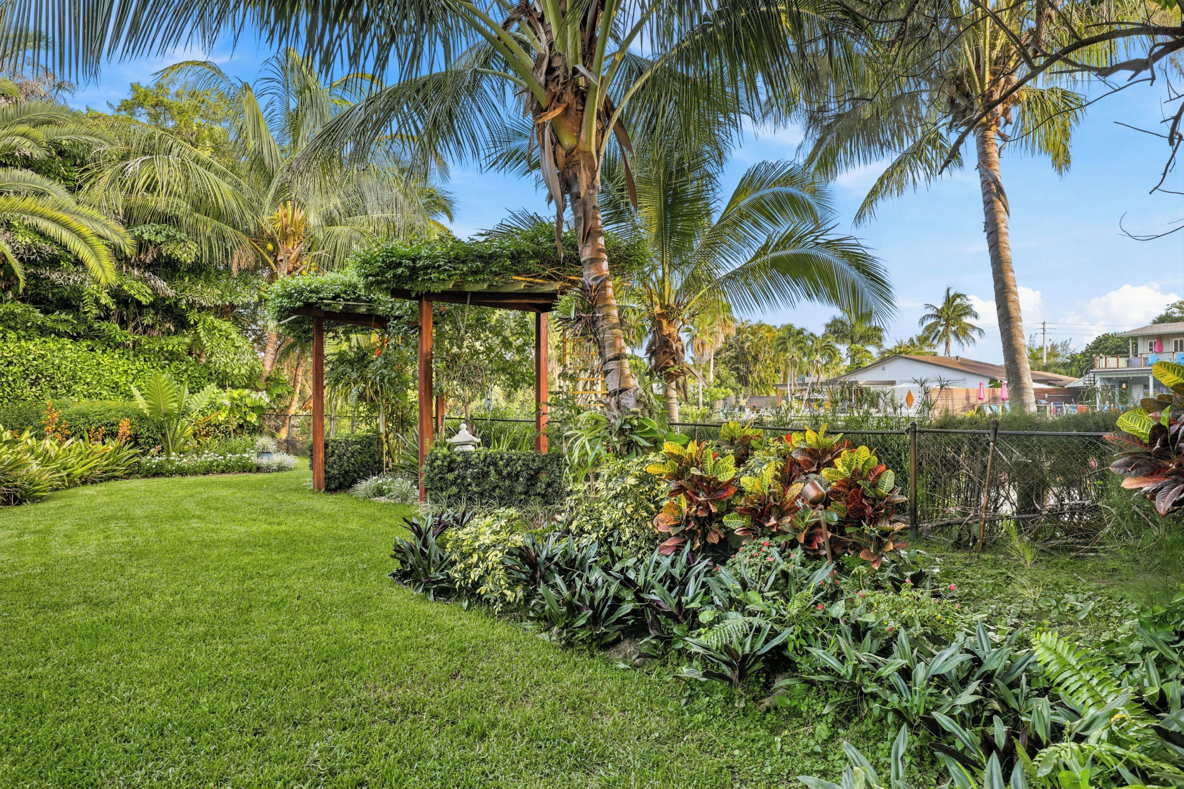 A lush garden with a wooden pergola, palm trees, and a variety of tropical plants.
