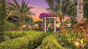 A garden with a gazebo, palm trees, and various plants.