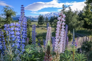 A scenic landscape with mountains in the background and a variety of wildflowers in the foreground. - Luxury county guesthouse-continental breakfast supplied/own farm free range eggs (Omarama)