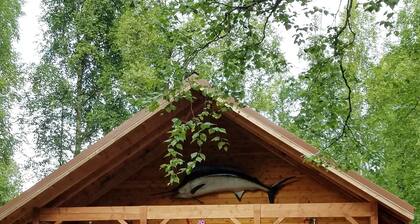 The Marlin House in Talkeetna