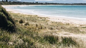 A beach with a clear sky, grassy dunes, and a calm sea. - Cavella South Coast (Culburra Beach)
