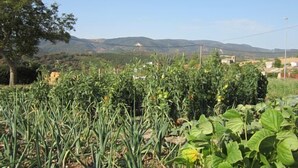 Un paysage rural avec des champs cultivés et des collines à l’horizon.