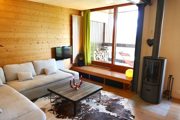 TV, fireplace, books