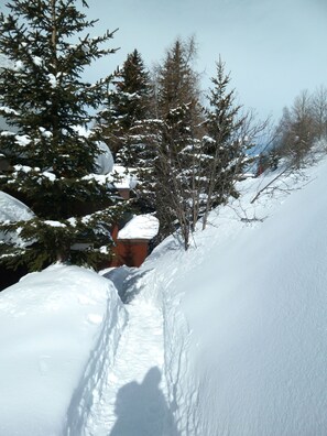 Esportes de neve e esqui