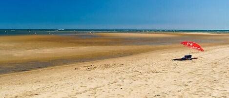 Playa en los alrededores