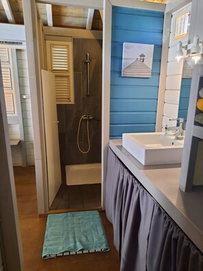 Shower, hair dryer, towels