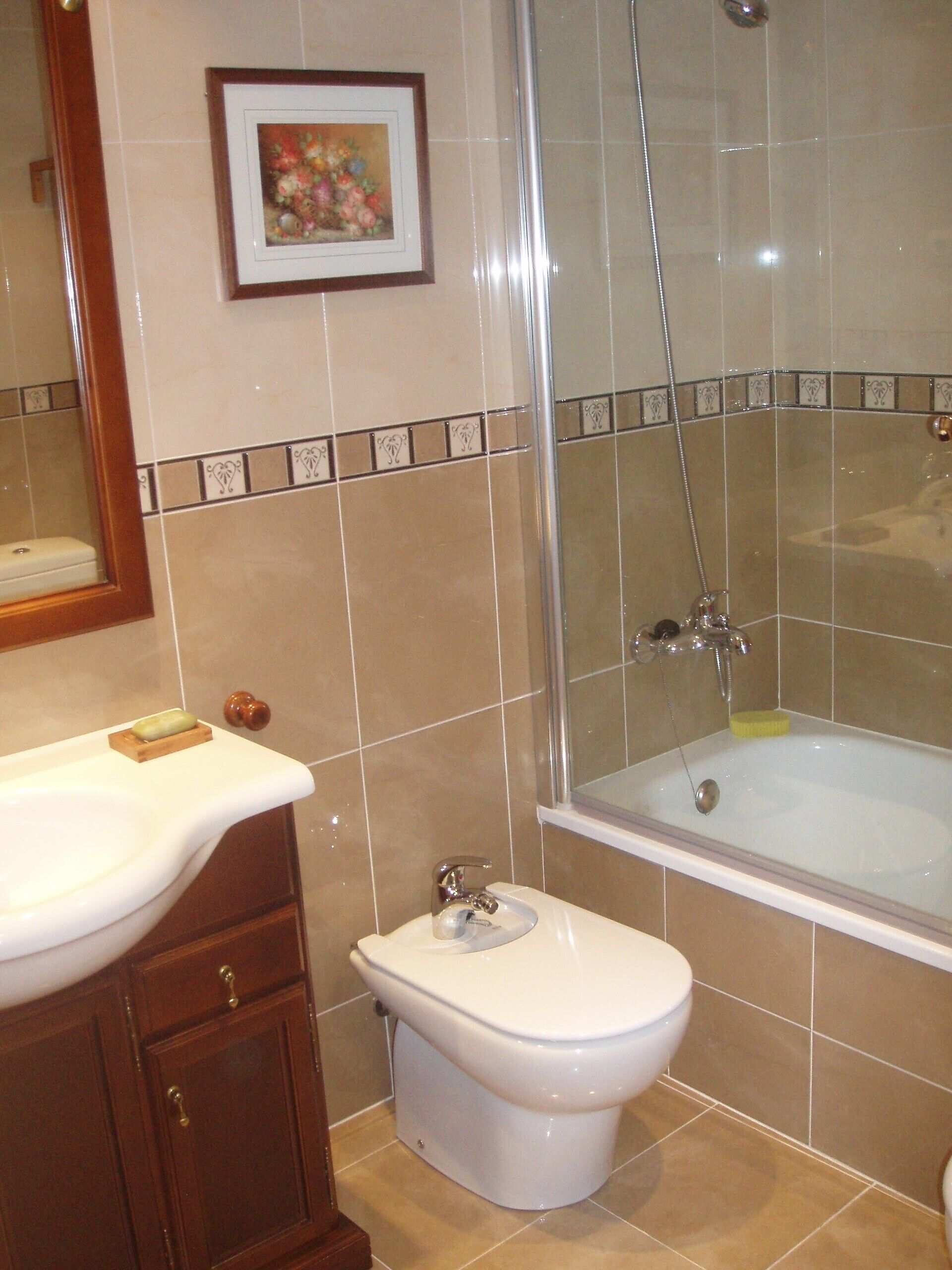 Combined shower/tub, hair dryer, bidet, towels