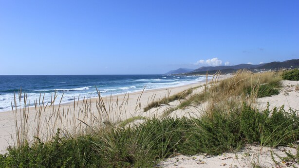 Una playa con dunas de arena y olas del océano.