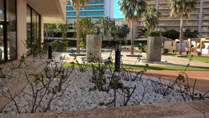 A landscaped outdoor area with white pebbles, palm trees, and a pool.