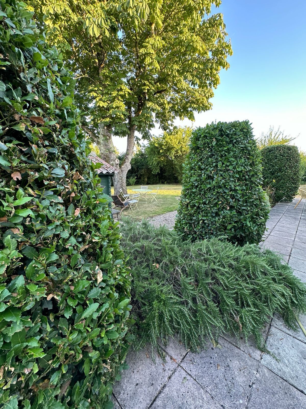 Jardines del alojamiento