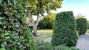A paved walkway with a neatly trimmed hedge, a small tree, and a well-maintained lawn area. - Charming farmhouse with private pool in secluded location.  (Monteton)