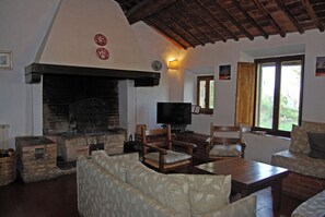 TV connectée, cheminée, livres