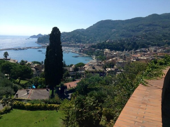 A coastal town with a view of the sea, a prominent tall tree, and a mix of residential and commercial buildings.