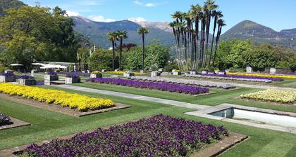 quiet, sunny, stylish, with wide valley view to south from terrace and balcony