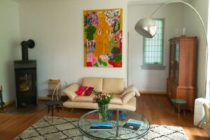 TV, lareira, DVD player, livros