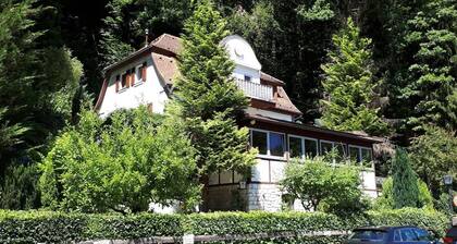 To cozy owl - Apartment "Green"