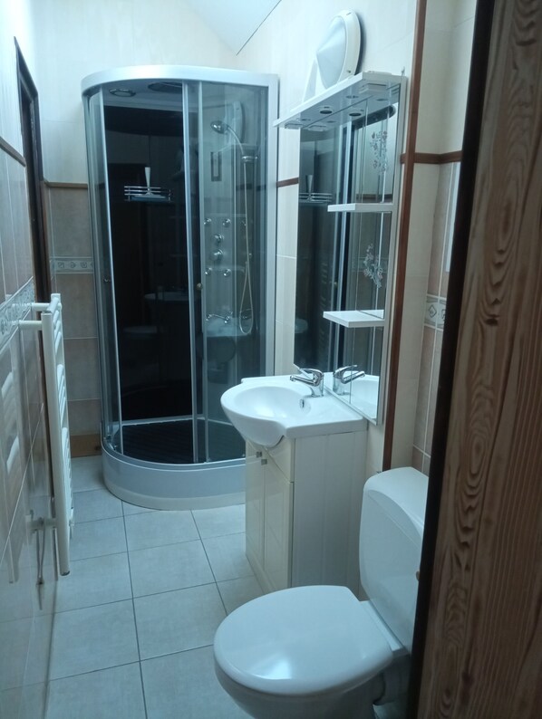 Shower, hair dryer, soap, toilet paper
