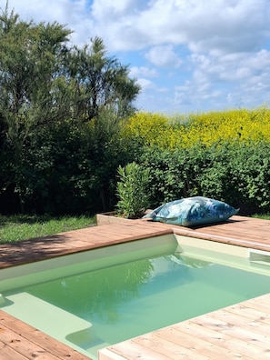 A swimming pool with a wooden deck, surrounded by greenery and a yellow flowering hedge.