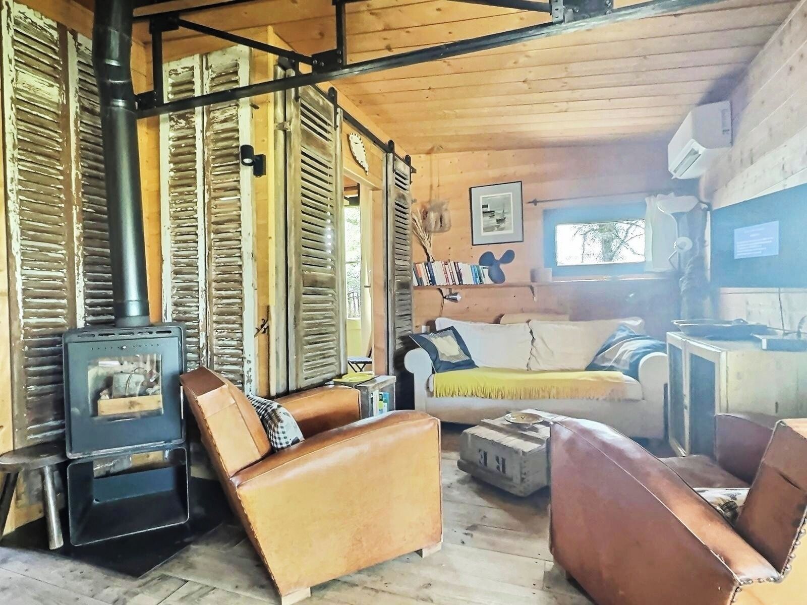 TV connectée, cheminée, lecteur de DVD, livres