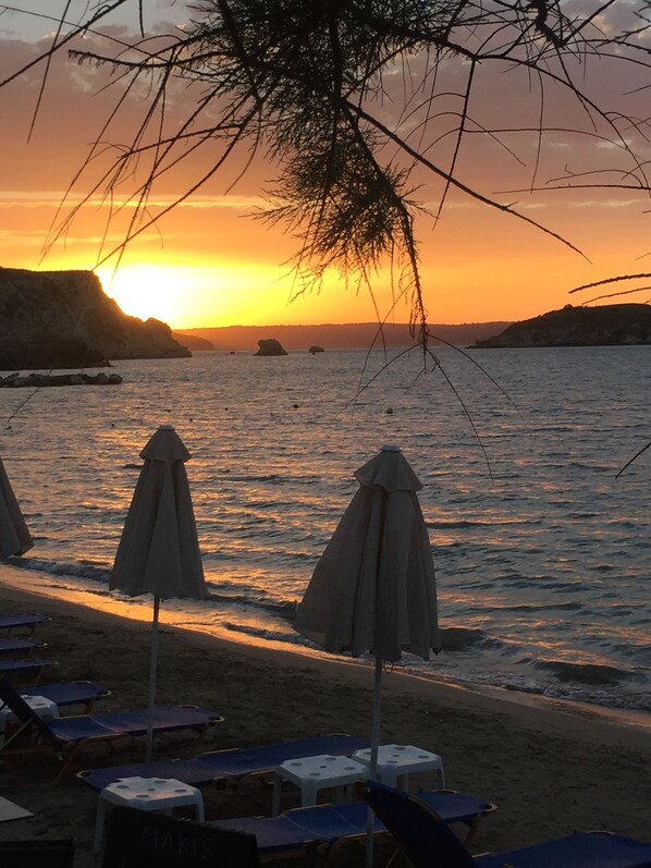 بالقرب من الشاطئ، كراسي للتشمس، مناشف للشاطئ