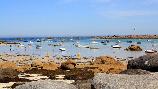 A rocky beach with numerous boats anchored in calm waters.