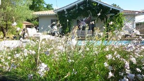 Une maison dotée d’un porche abrité, d’une piscine et d’un jardin agrémenté de fleurs blanches.