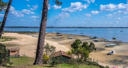 LÚge-Cap-Ferret: Maison familiale 4 chambres avec piscine chauffée et jardin