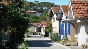 Ulkopuoli