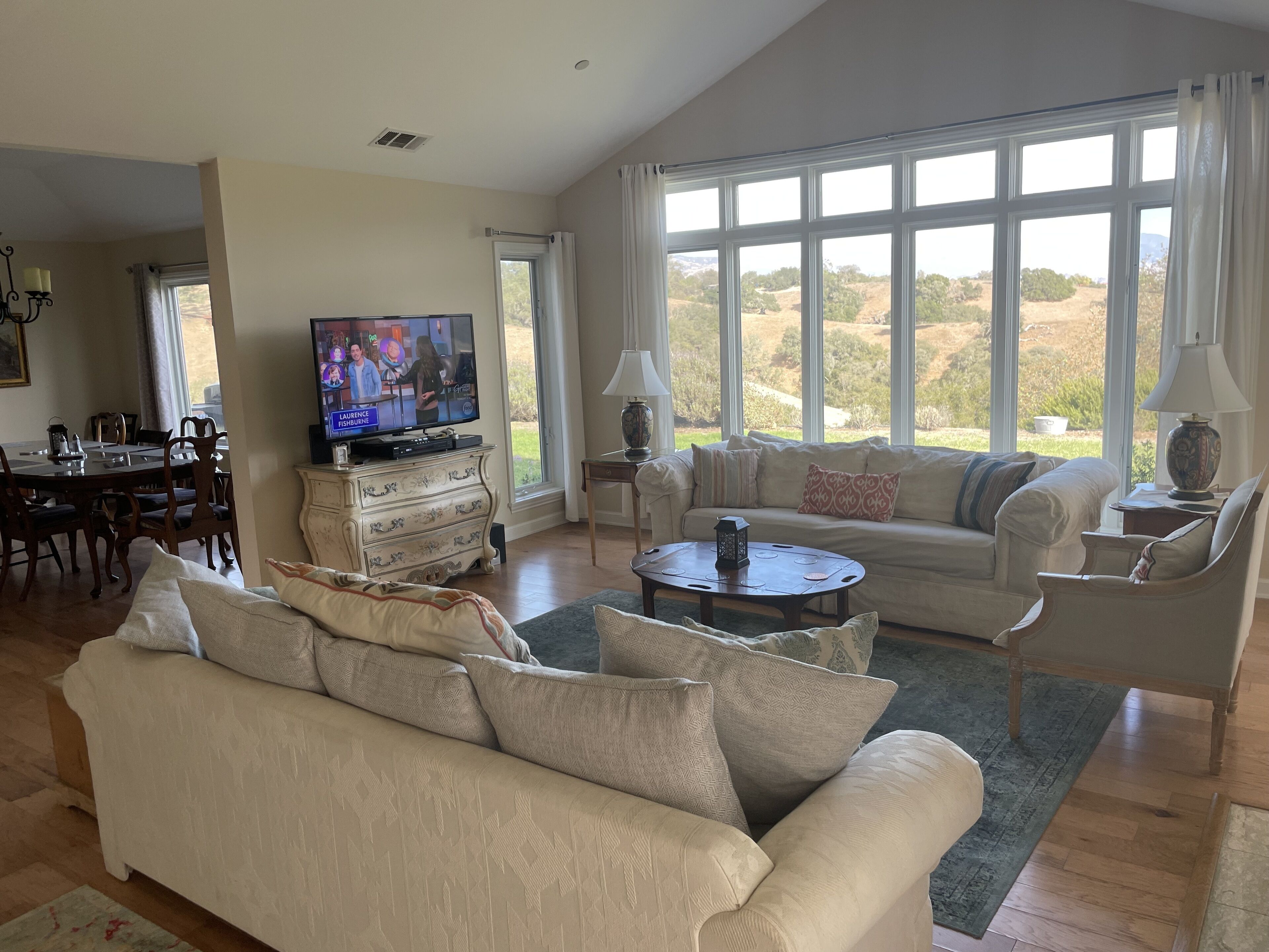 Smart TV, DVD player, books, stereo