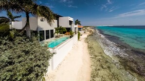 A beachfront property with a swimming pool, palm trees, and a view of the ocean. - ❤ Exceptional oceanfront vacation ✔ (Kralendijk (Punt Vierkant))