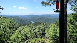 Une vue à travers une fenêtre sur un paysage boisé, avec une rivière et des montagnes au loin.