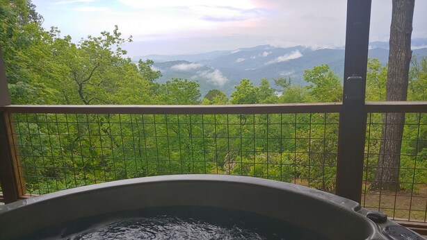 Un bain à remous offrant une vue sur un paysage boisé, visible à travers une clôture en treillis métallique.