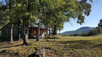 Un rustico chalet con facciata in legno, circondato da alberi e un prato, con una montagna sullo sfondo.