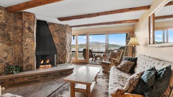 Smart TV, fireplace, DVD player, books