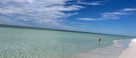 Plage à proximité, chaises longues, serviettes de plage