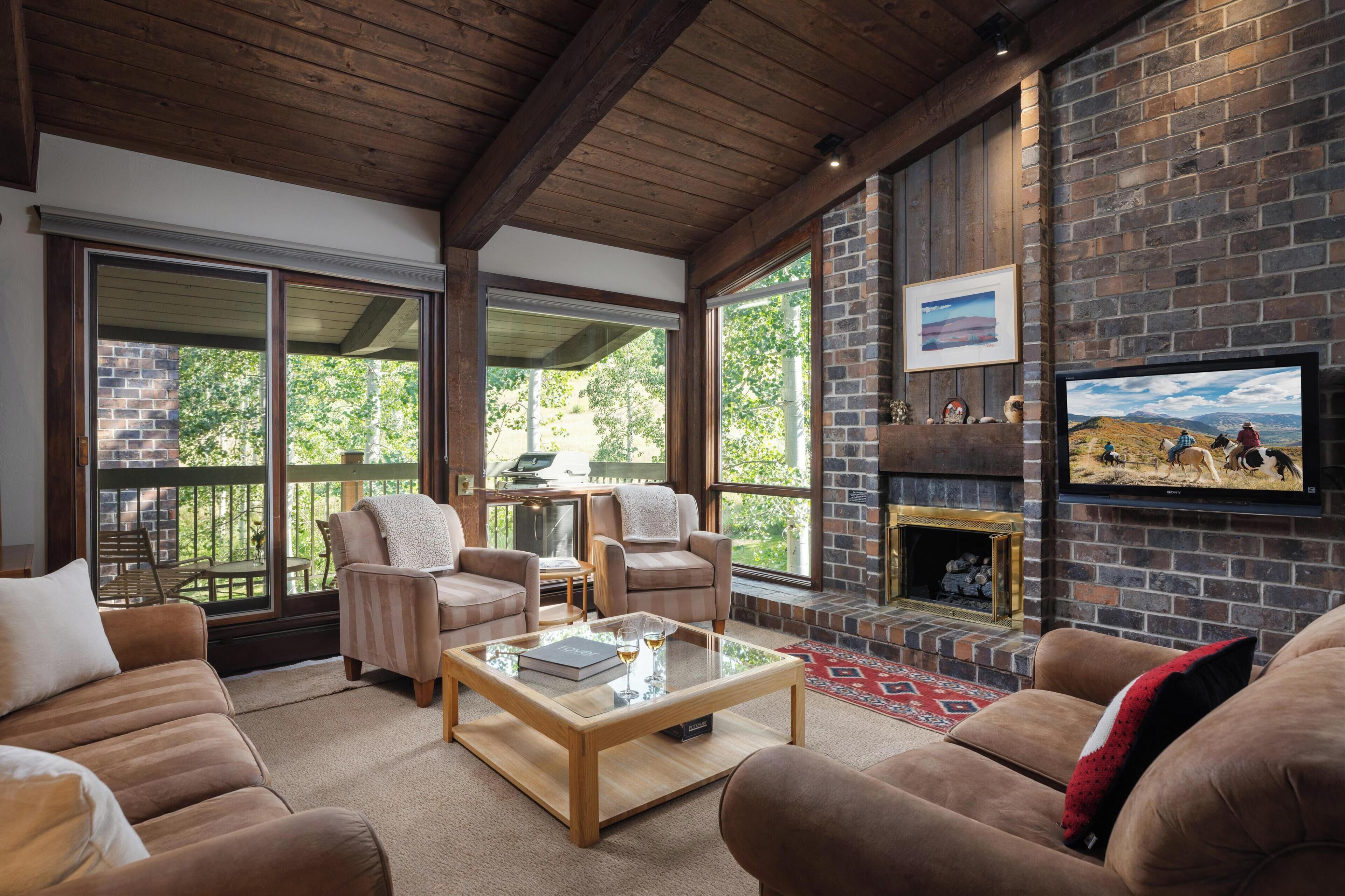 TV, fireplace
