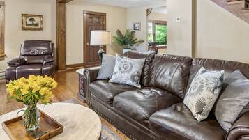 智能电视、壁炉、DVD 播放器、书