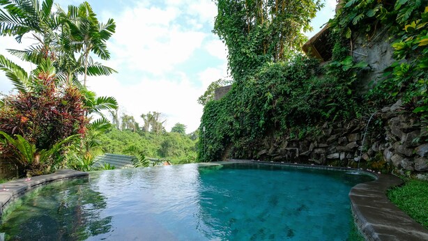 A clear, curved pool surrounded by lush greenery and a stone wall. - Sunrise Villa Ubud (Ubud)