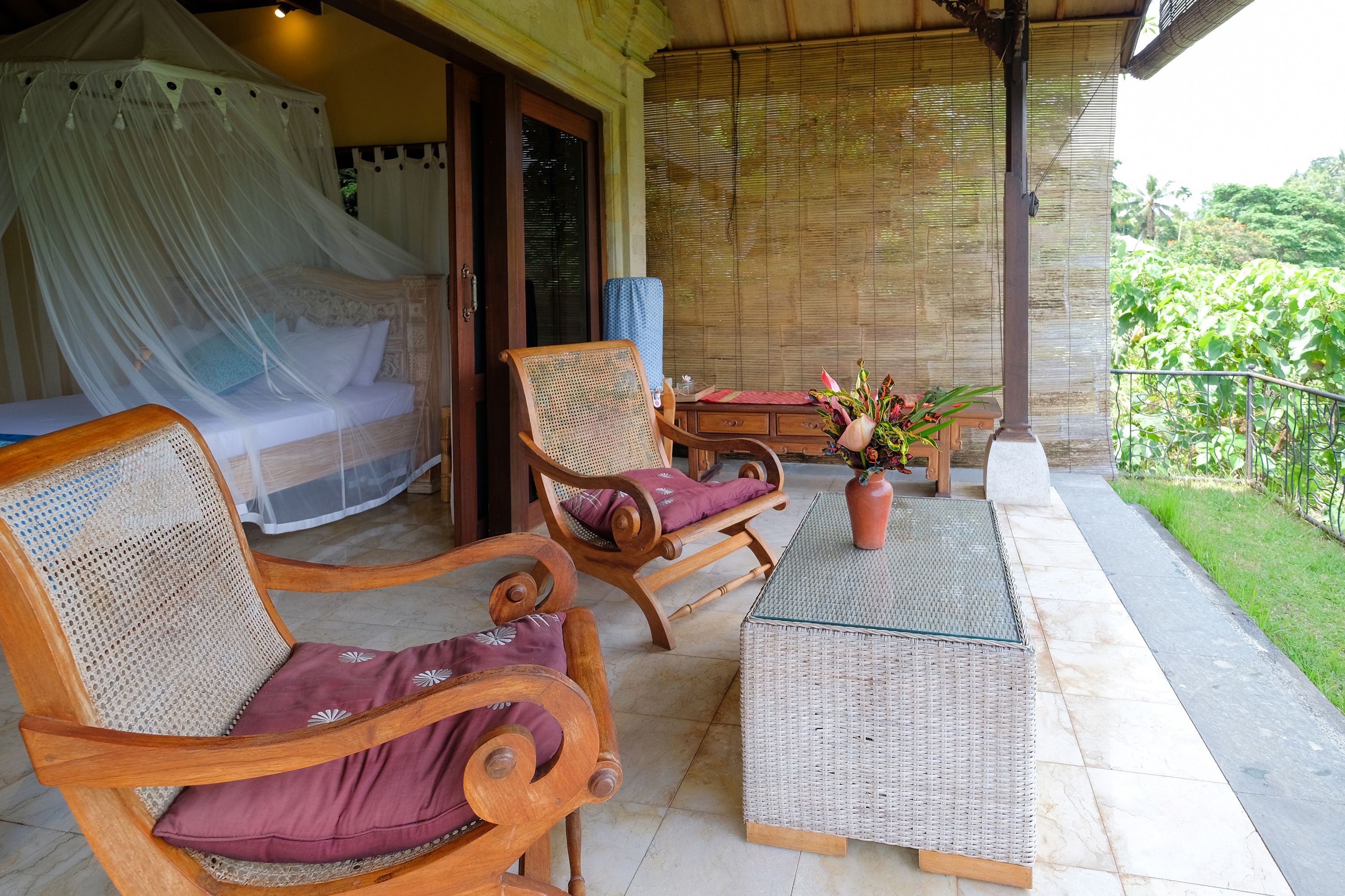 A room with a bed, two wooden chairs with cushions, a small table, and a potted plant.