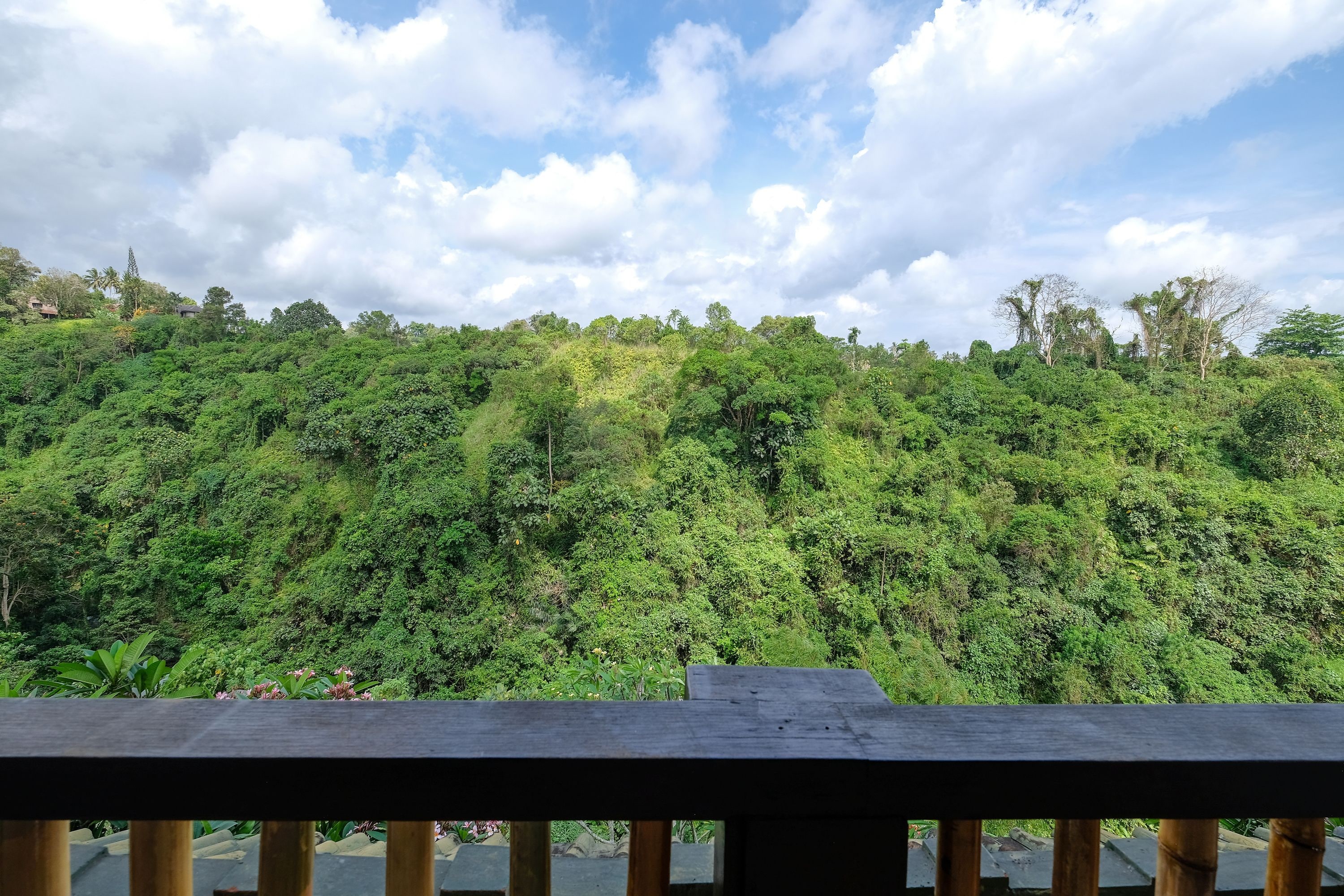 A lush green hillside with a wooden railing in the foreground.