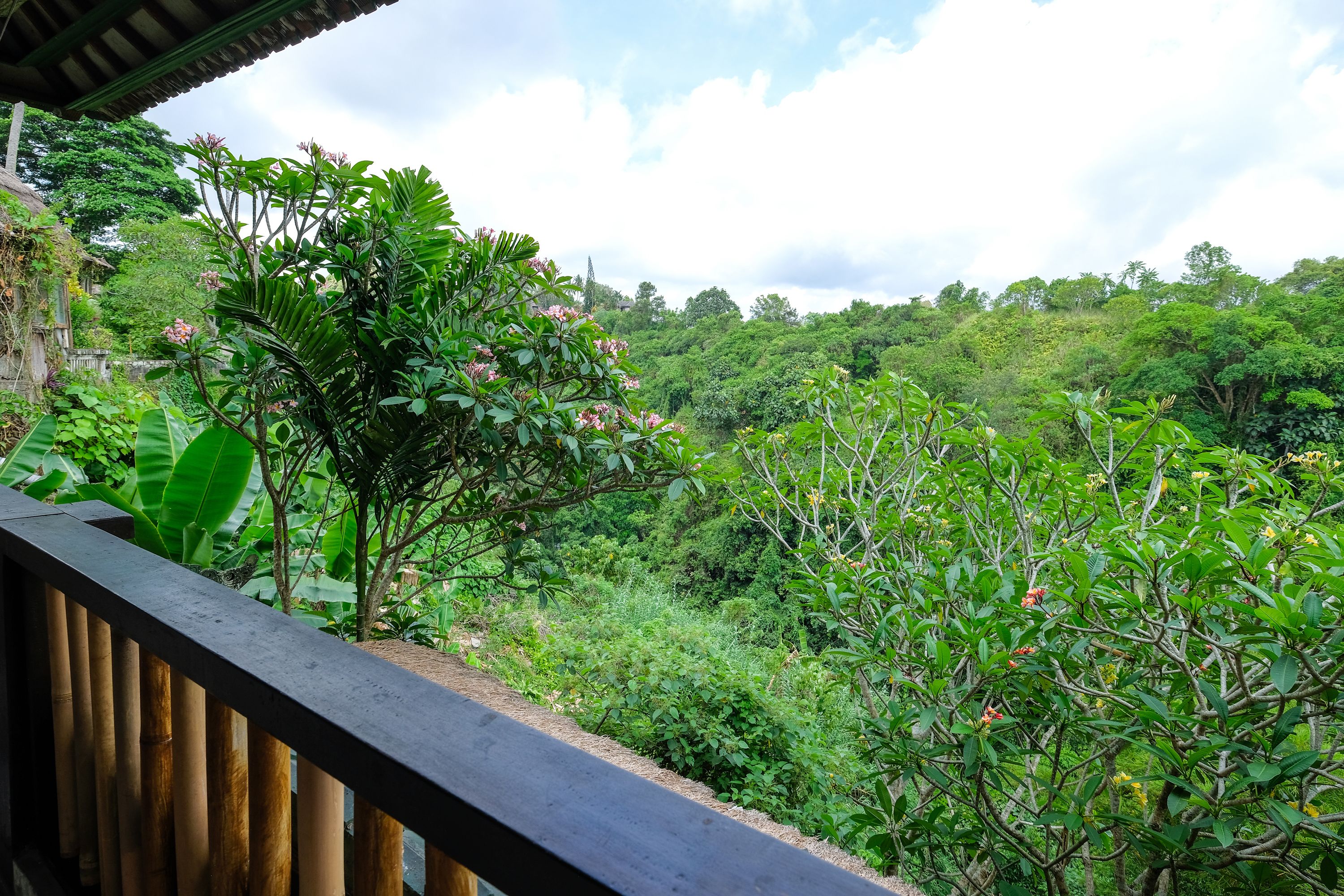 A balcony with a view of a lush green forest and a distant hill.