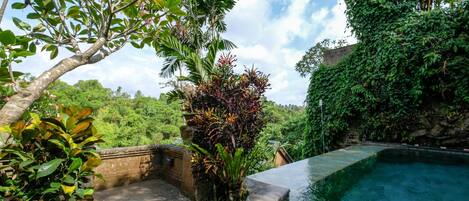 A swimming pool surrounded by lush greenery and stone steps leading to a shaded area.
