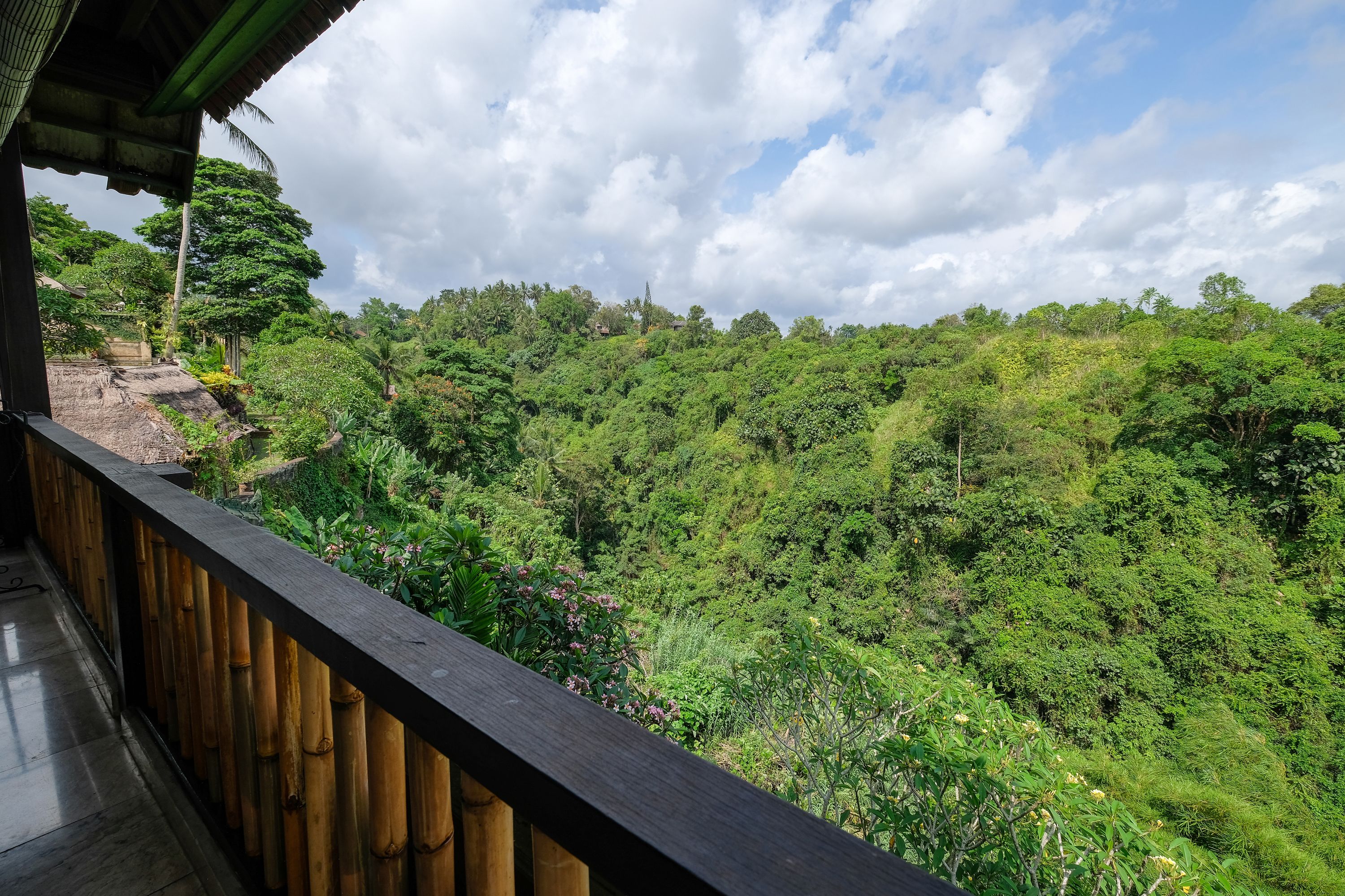 A wooden balcony overlooking a lush, green forested area with a clear sky.