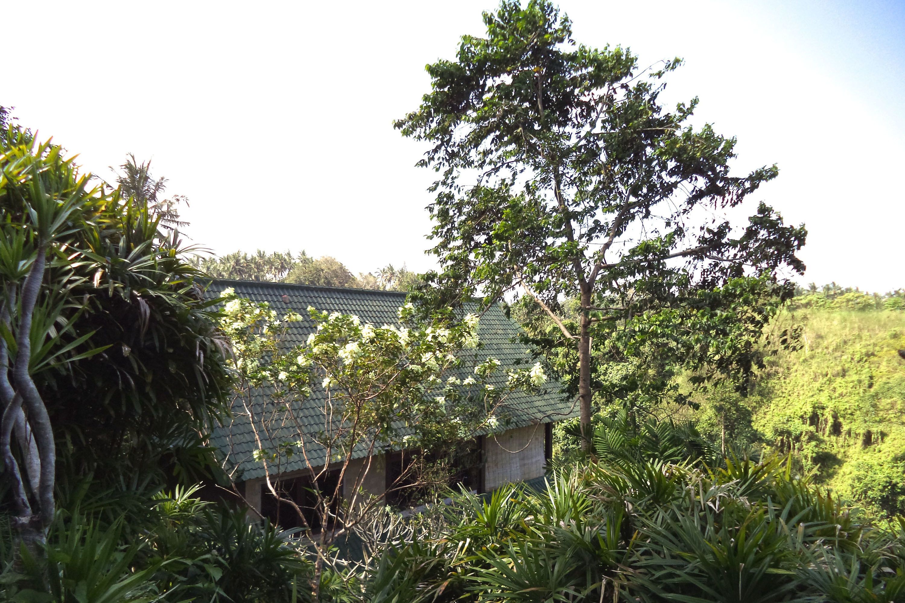 A traditional building with a green roof, surrounded by lush greenery and trees.